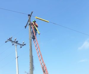 SUMINISTRO E INSTALACION DE PROTECTORES DE LINEAS EN MEDIA TENSION-2