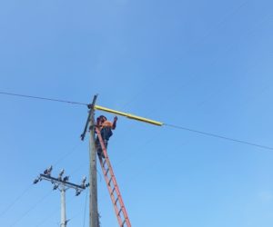 SUMINISTRO E INSTALACION DE PROTECTORES DE LINEAS EN MEDIA TENSION-3