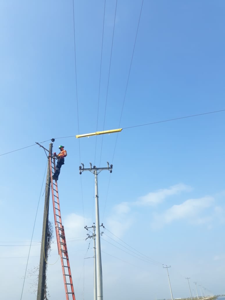 Suministro e instalación de protectores de